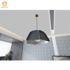 PET-XCP-0060 Popular Pendant Lamp Ceiling Lighting Fixtures For Home Office