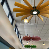 PET-XCP-0059 Uniquely Fan-shaped Modern Ceiling Art Deco Lamp