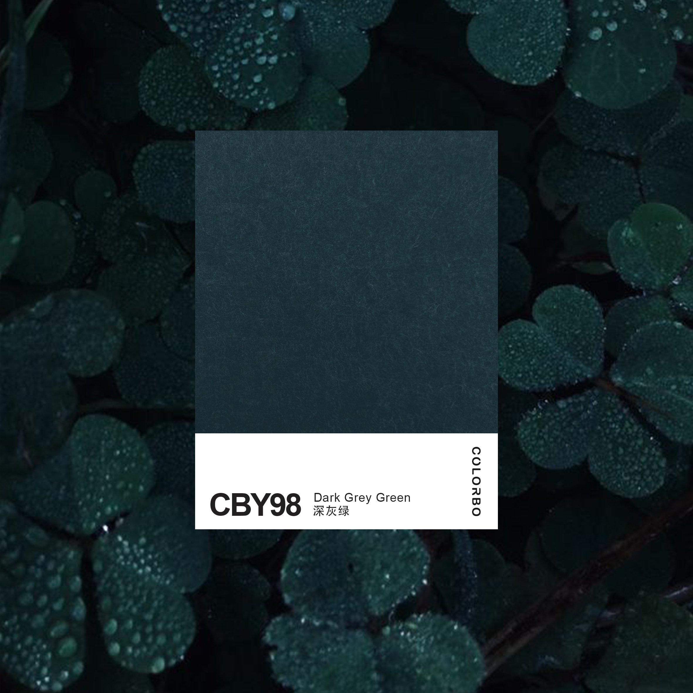 CBY98 Decorative Interior Design Material Acoustic 12MM PET Panel