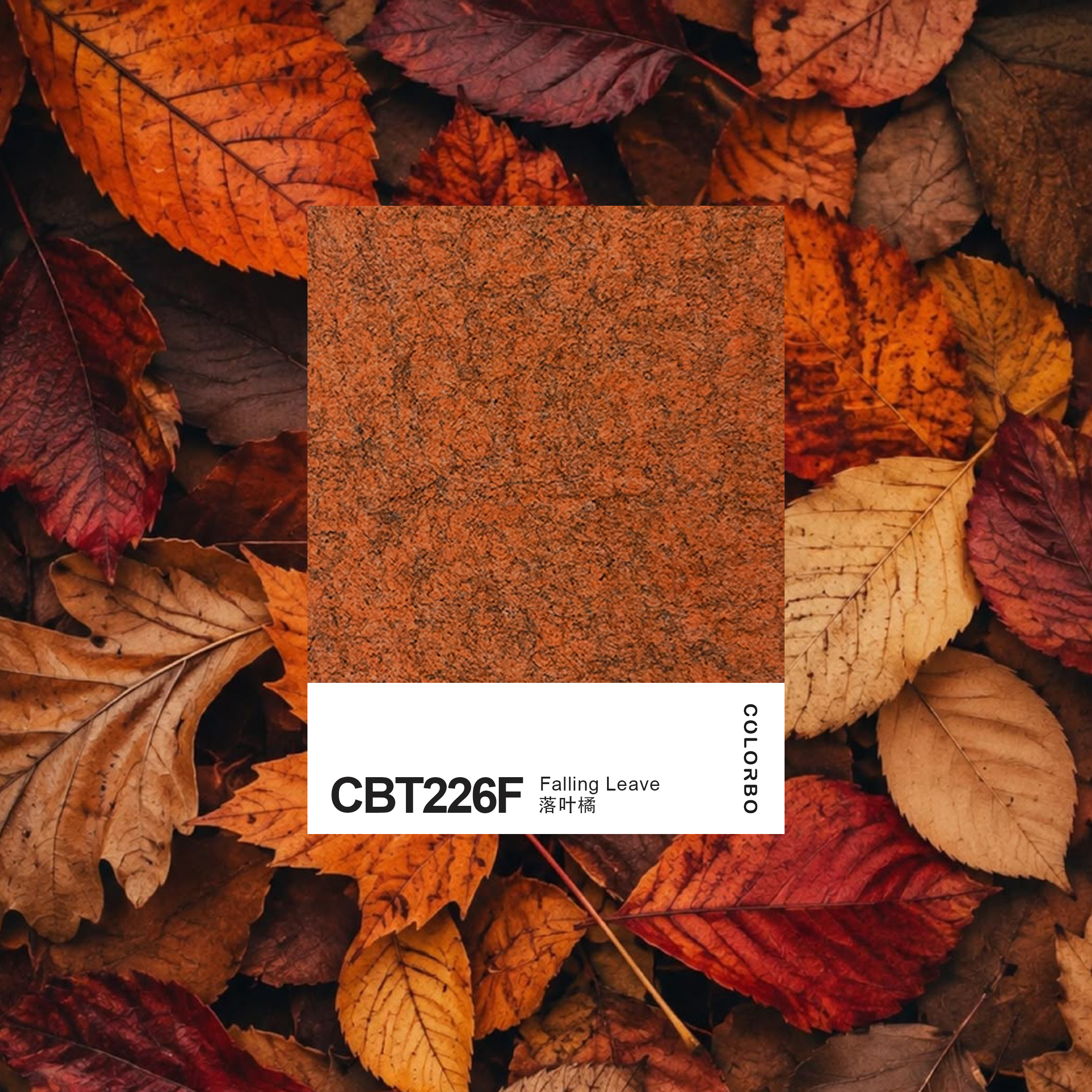 CBT226F Sound Absorbing Felt Panels for The Interior Decoration Stylish Drop Ceiling Tiles