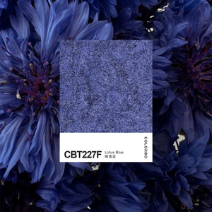 CBT222F Acoustic Office Decoration Sound Absorption Felt Screen Pet Acoustic Panel