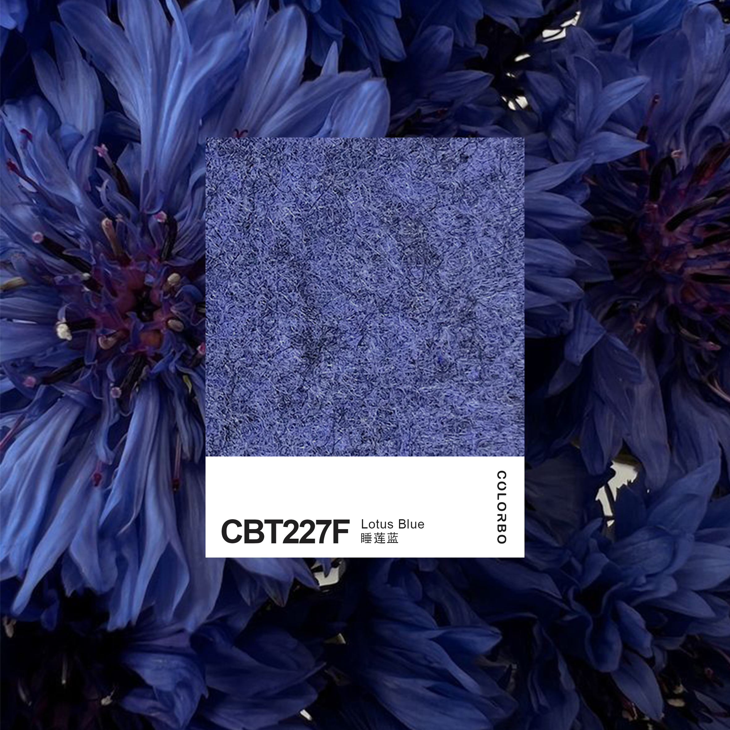 CBT222F Acoustic Office Decoration Sound Absorption Felt Screen Pet Acoustic Panel