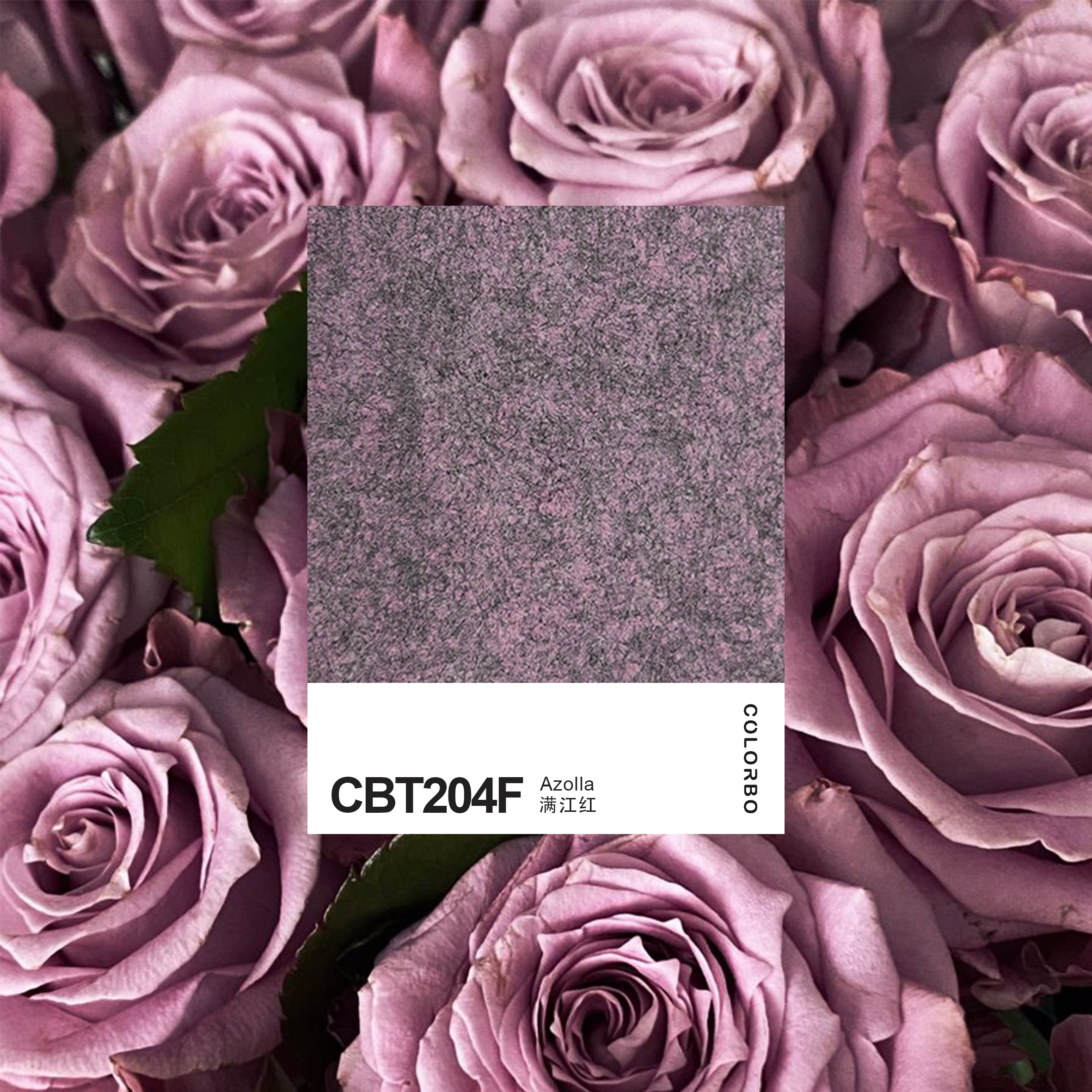 CBT204F ASTM Fire Resistance Pet Acoustic Wall Panel for Theater
